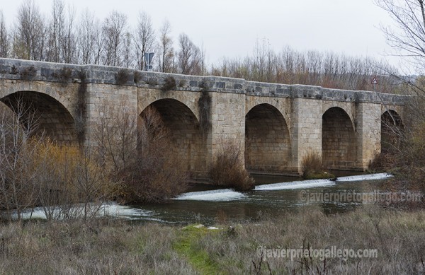 Puente sobre el Pisuerga. Cordovilla la Real. Cerrato palentino. Palencia. Castilla y León. España. © Javier Prieto Gallego