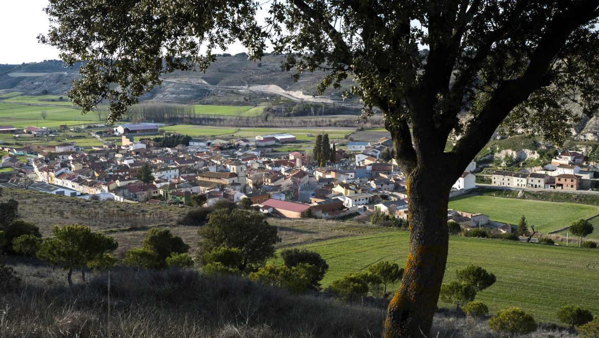 Cevico Navero desde lo alto de la cuesta de las Bodegas. Palencia. Castilla y León. España. © Javier Prieto Gallego