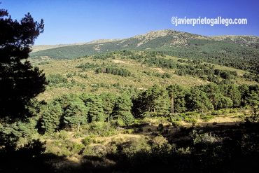 Paisaje de la Sierra de Guadarrama. Segovia. Castilla y León. España. © Javier Prieto Gallego