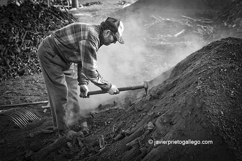 El carbonero José González en una de las pocas carboneras que todavía se realizan en Retuerta. Burgos. Castilla y León. España, 2007 © Javier Prieto Gallego;