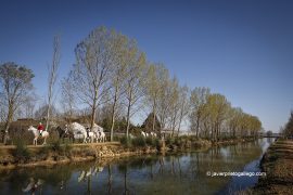 Jinetes de paseo por la sirga del Canal de Castilla en Becerril de Campos. Palencia. Castilla y León. España © Javier Prieto Gallego