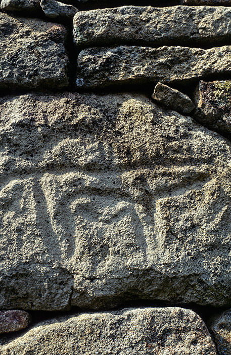Petroglifos en las murallas del castro vetón de Yecla La Vieja. Ruta de las Fortalezas de Frontera. Salamanca. Castilla y León. España © Javier Prieto Gallego 