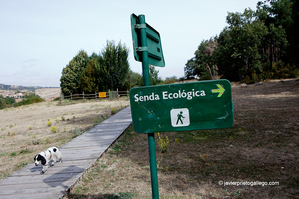 Frente al CENEAM se localiza el arranque de una Senda Ecológica que recorre el entorno del centro. Valsaín. Segovia. Castilla y León. España © Javier Prieto Gallego;