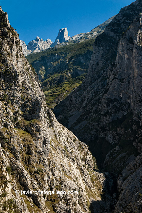 Vista del Naranjo de Bulnes desde el mirador de Camarmeña. Picos de Europa. Asturias. © Javier Prieto Gallego;