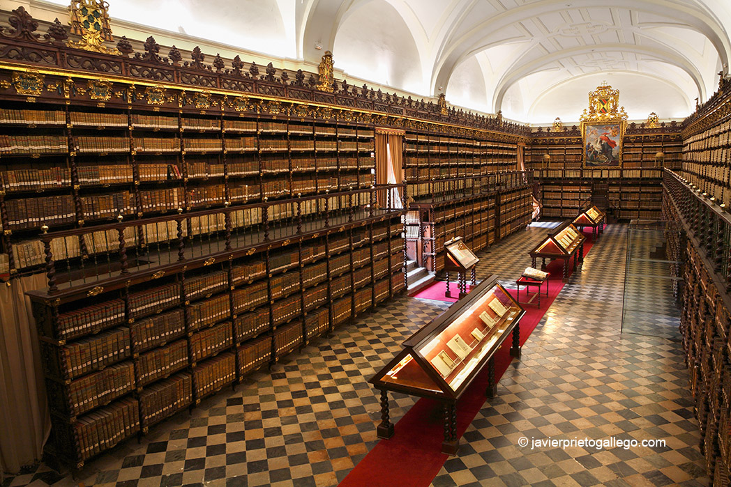 Biblioteca histórica. Palacio de Santa Cruz. Valladolid. Castilla y León. España © Javier Prieto Gallego