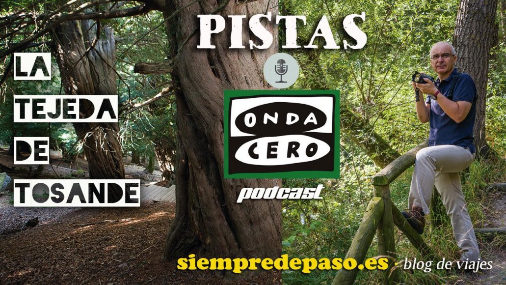 Foto de La Tejeda de Tosande en Dehesa de Montejo, Palencia