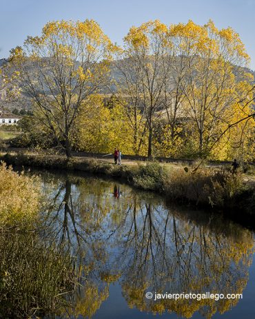 Pescadores en el Canal de Castilla frente al monasterio de Santa María de Palazuelos. Cabezón de Pisuerga. Castilla y León. España. © Javier Prieto Gallego