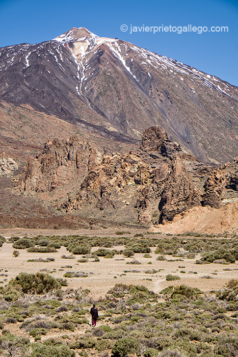 Dos senderistas en el interior del Parque Nacional del Teide caminan hacia las laderas de esta montaña (3.718 m).Tenerife. Islas Canarias. España © Javier Prieto Gallego