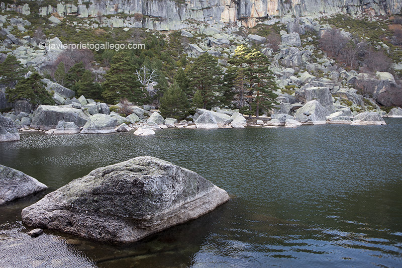 Los bloques de granito se amontonan junto a las orillas de la Laguna Negra. Espacio Natural Laguna Negra y Circos Glaciares de Urbión. Soria. Castilla y León. España. © Javier Prieto Gallego
