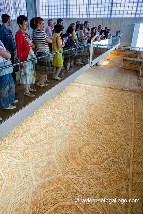 Mosaicos de la Villa romana de La Olmeda. Palencia. Castilla y León. España. © Javier Prieto Gallego