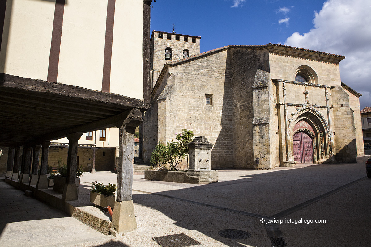 Plaza porticada e iglesia gótica de San Pedro. Localidad de Santa Gadea del Cid. Burgos. Castilla y León. España. © Javier Prieto Gallego