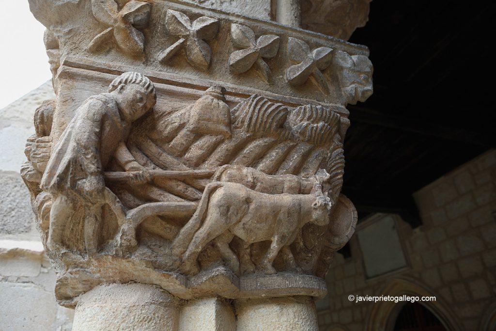 Foto de Antiguo Potro de Herrar en Santa María la Real de Nieva, Segovia