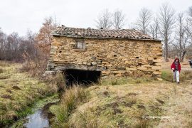 Río Aliste. Comarca de Aliste. sierra de la Culebra. Zamora. Castilla y León. España. © Javier Prieto Gallego