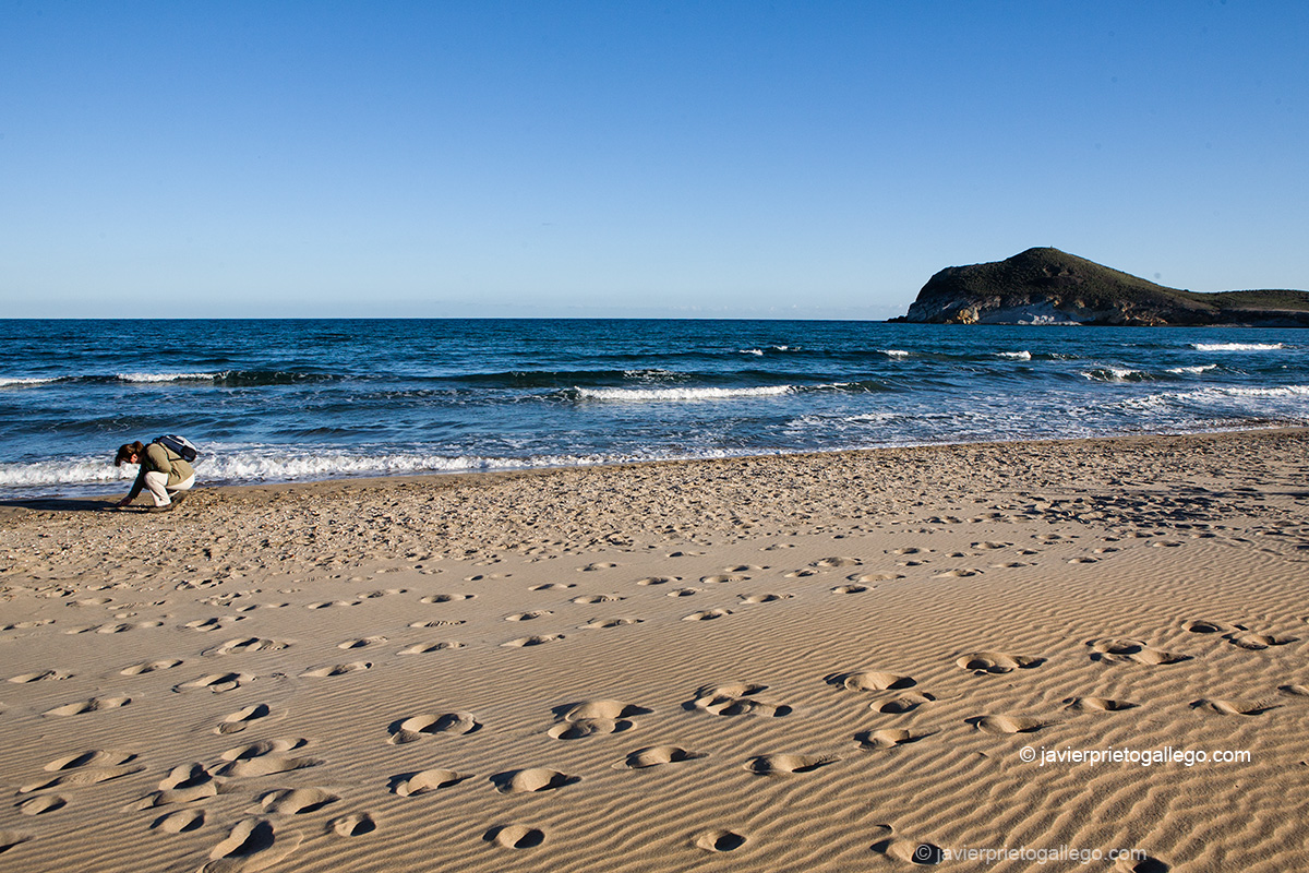 Huellas en la arena. Playa de Los Genoveses. Chumberas. Cabo de Gata. Almería. Andalucía. España.© Javier Prieto Gallego