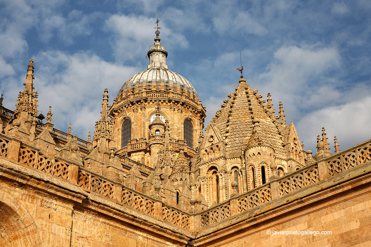 Cúpula y torre del Gallo de la catedral de Salamanca. Salamanca capital. Castilla y León. España. © Javier Prieto Gallego