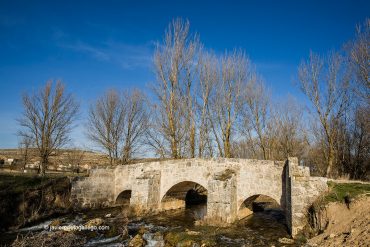 Puente romano. Cabañes de Esgueva. Río Esgueva. Burgos. Castilla y León. España © Javier Prieto Gallego