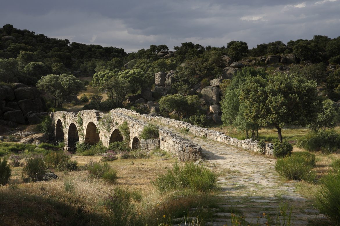 Dehesa de Las Aldehuelas. Puente Mocho. Cerca de Ledesma. Salamanca. Castilla y León. España. © Javier Prieto Gallego