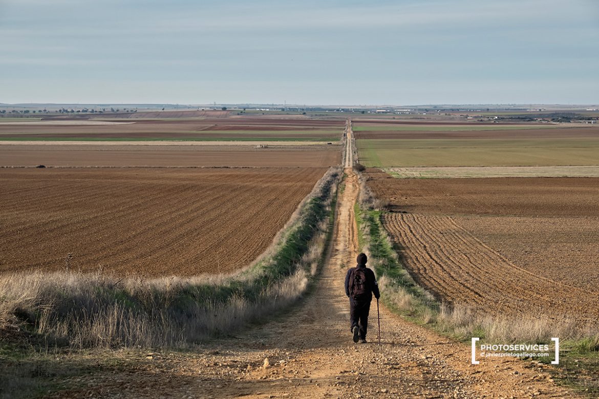 Senderista. Camino a Santiago del Sureste a su paso por la provincia de Valladolid. Castilla y León. España © Javier Prieto Gallego;
