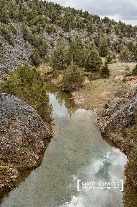 Arroyo de Fuente Barda. Sendero de los Pinarejos. Desfiladero de los Hocinos. Arauzo de Miel. Burgos. Castilla y León. España. © Javier Prieto Gallego