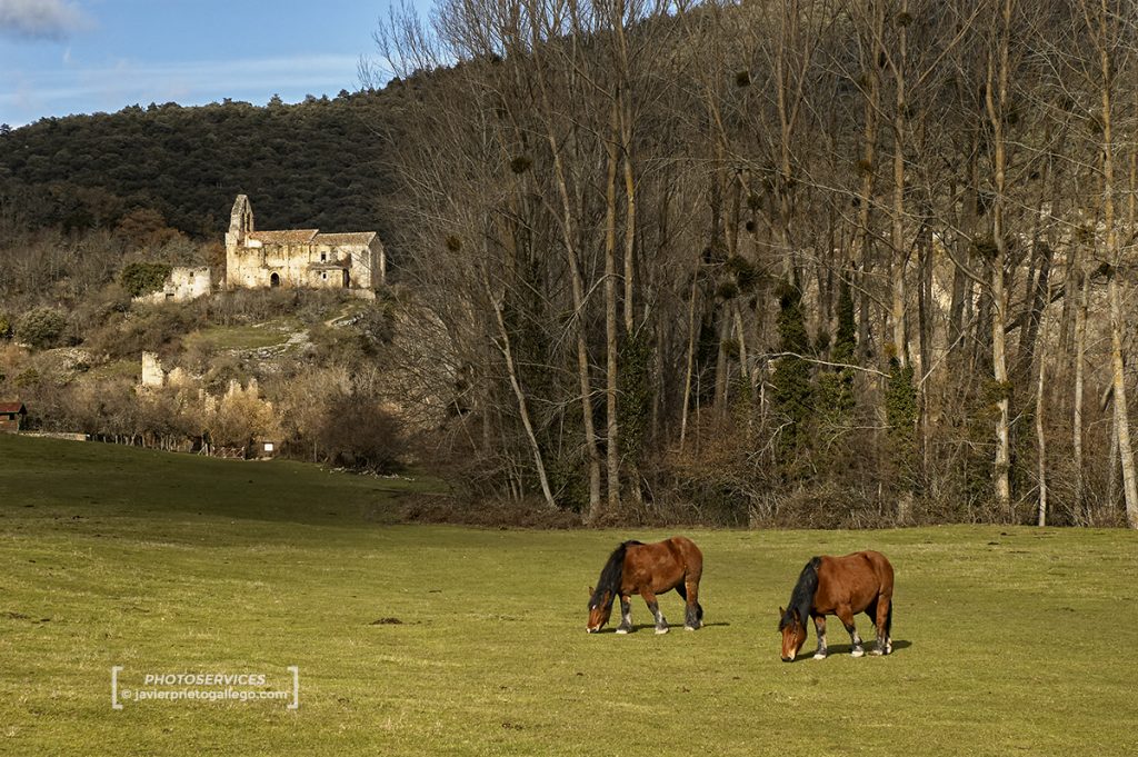 Localidad abandonada de Ribera, desfiladero del Purón, parque natural de Valderejo. Burgos-Álava