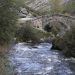 Puente medieval. Cerulleda. Río Curueño. León. España. © Javier Prieto Gallego