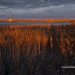 Atardecer tormentoso en invierno en la Laguna de La Nava, incluida en la Ruta de las Aves. Fuentes de Nava. Palencia. Castilla y León. España © Javier Prieto Gallego